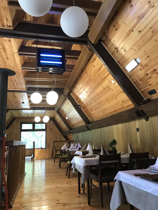 Restoran s UV lampom za insekte
