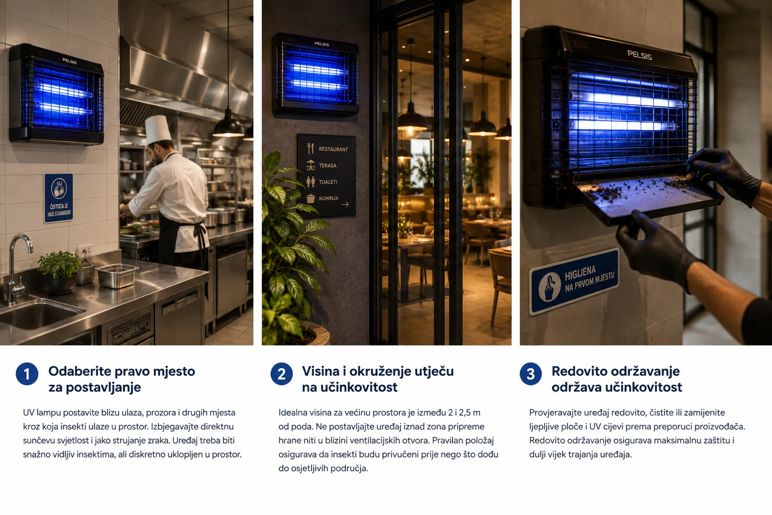 Infographic: the right location, height and surroundings, and regular maintenance of a UV insect killer in a kitchen