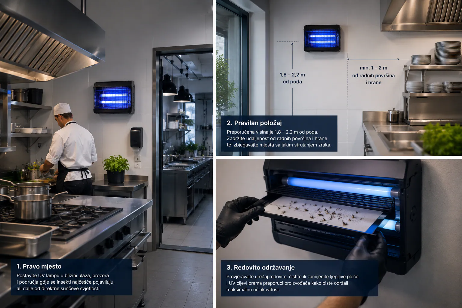 The right location, correct position and regular maintenance of a UV insect killer in a professional kitchen